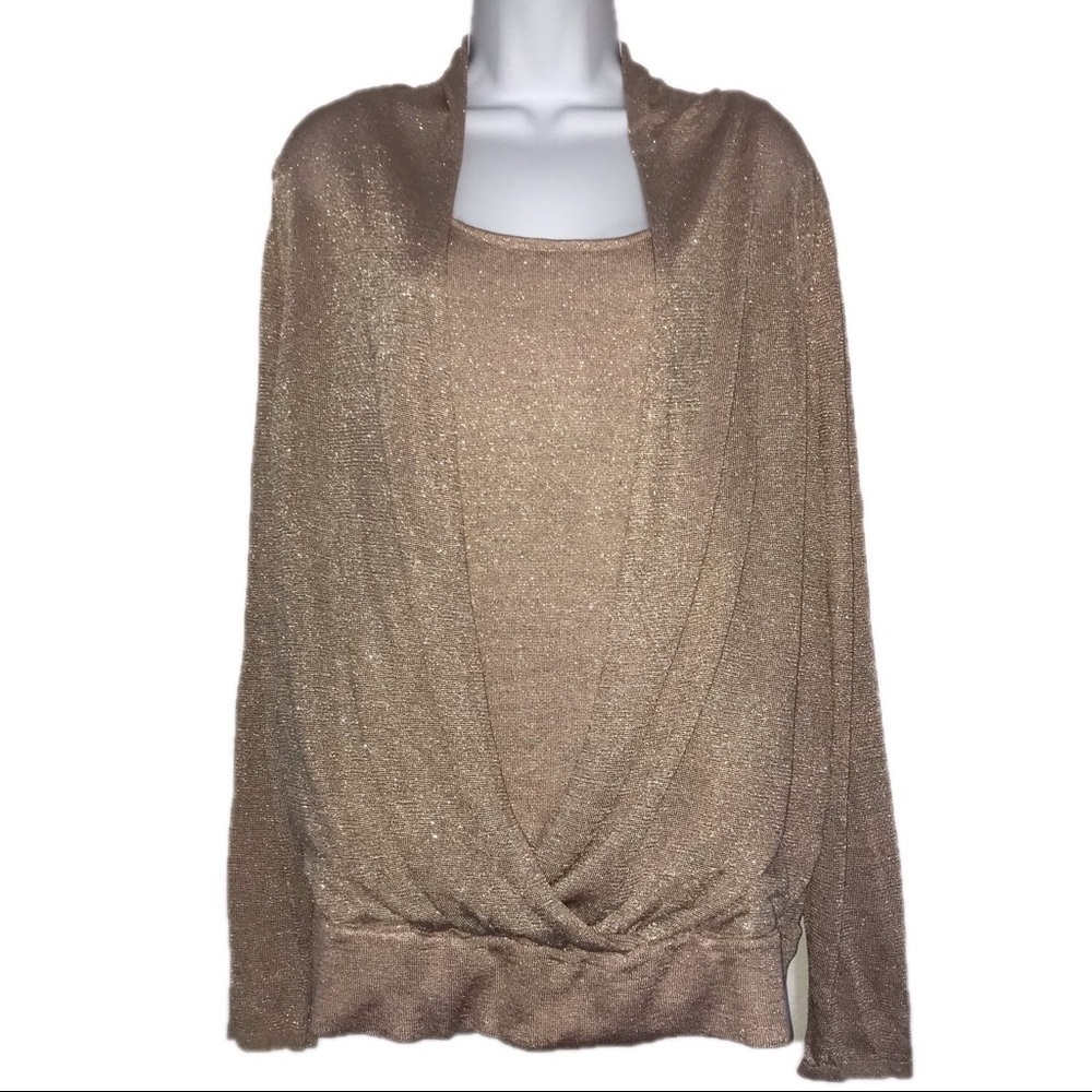 Inc 2 in 1 Metallic Sweater 3X